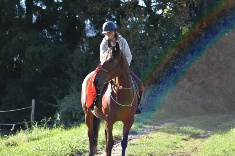 Trotteuse française jument à vendre