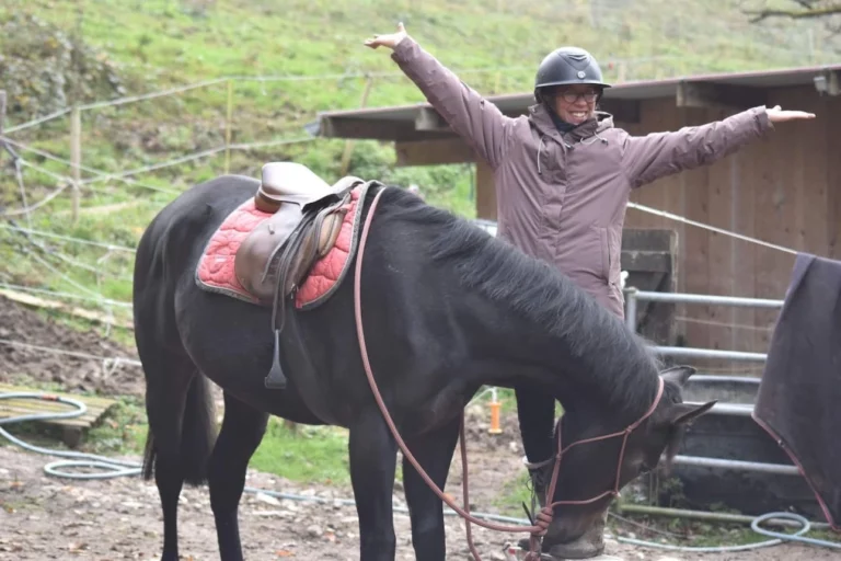 Les chevaux réformés de Sadelya