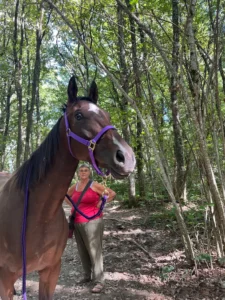 Les chevaux réformés de Sadelya