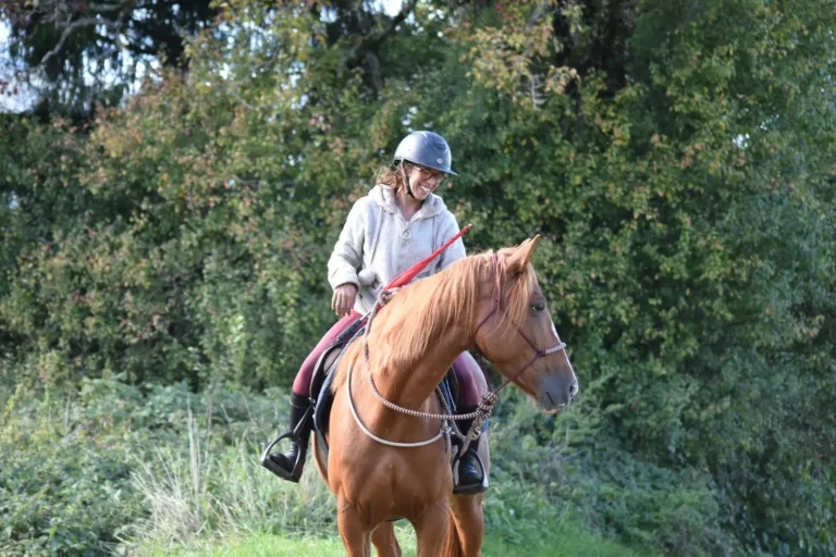 Trotteuse française jument à vendre