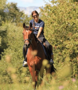 Les chevaux réformés de Sadelya