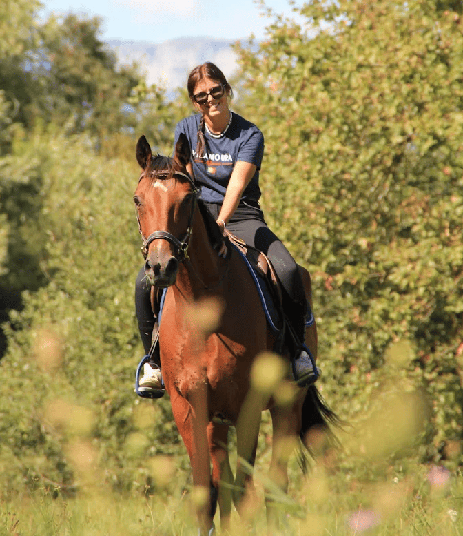 Les chevaux réformés de Sadelya
