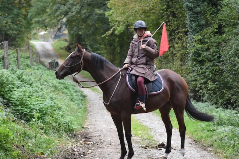 pur sang à vendre jument haute savoie